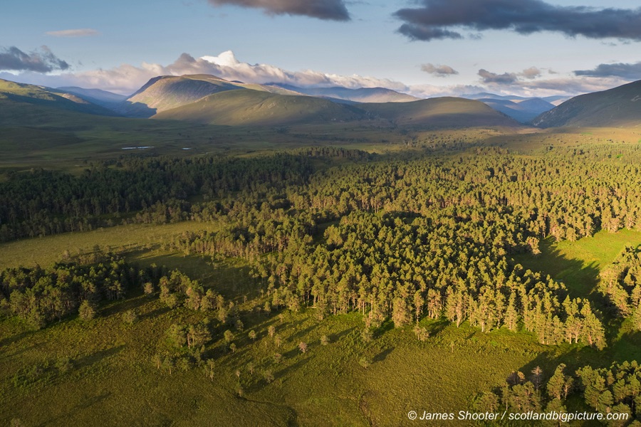Abernethy Forest, Cairngorms National Park